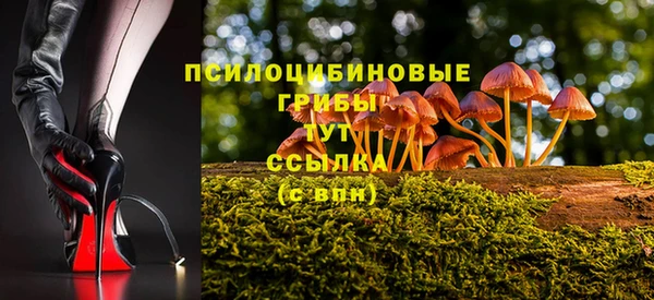 марки nbome Алексеевка