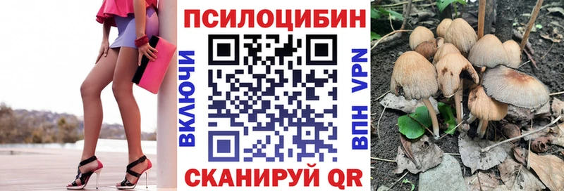 что такое   Луза  Галлюциногенные грибы Psilocybe 